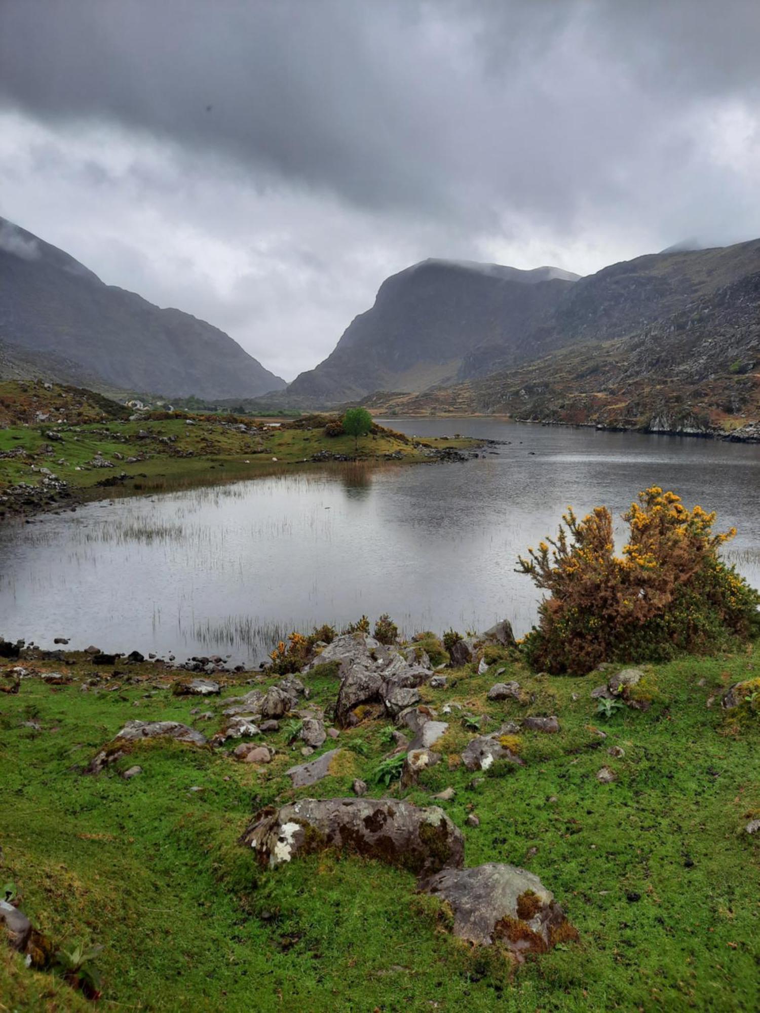 Colleen Bawn Cottage Gap Of Dunloe Kerry Laune Bridge المظهر الخارجي الصورة