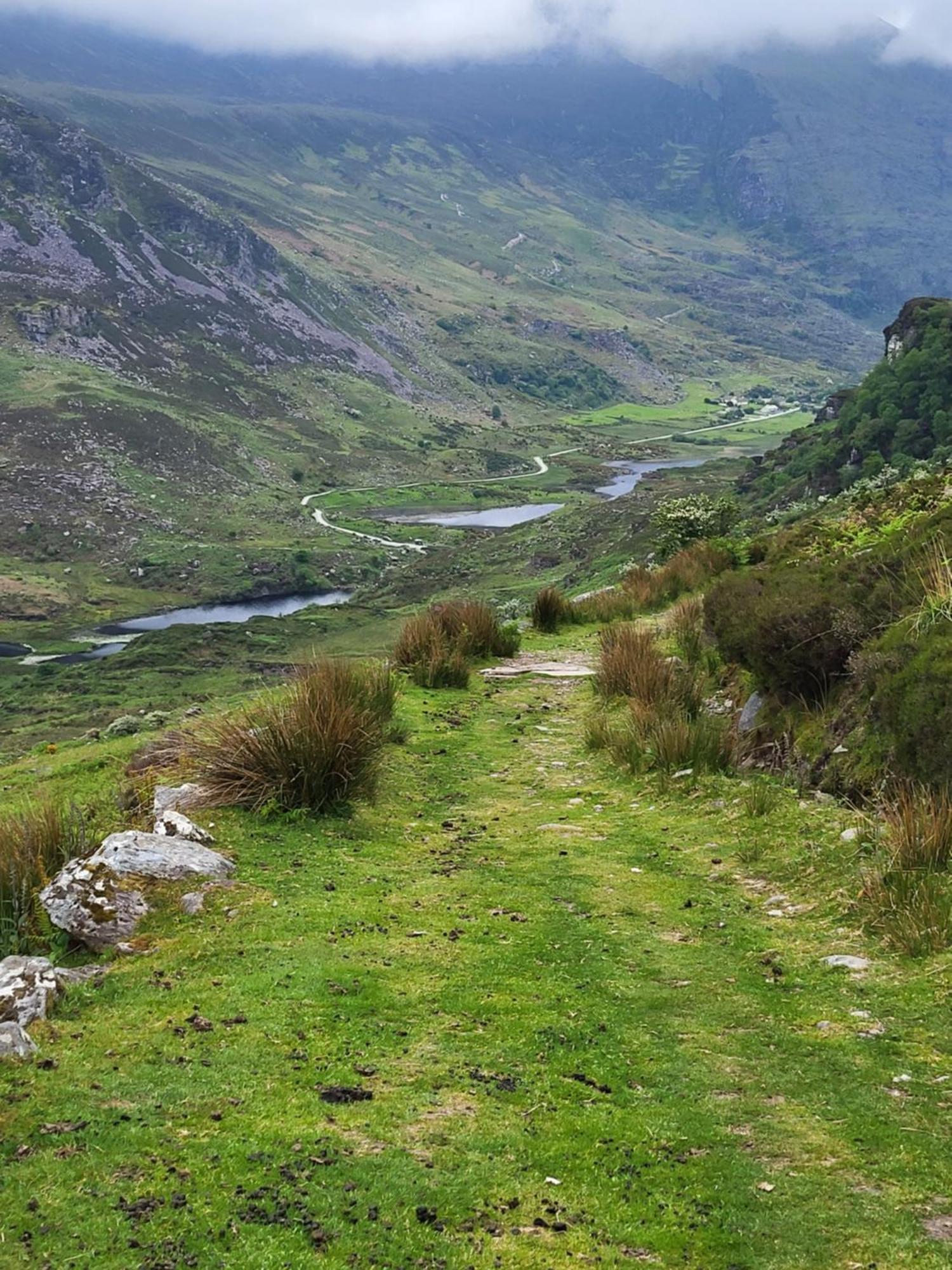 Colleen Bawn Cottage Gap Of Dunloe Kerry Laune Bridge المظهر الخارجي الصورة